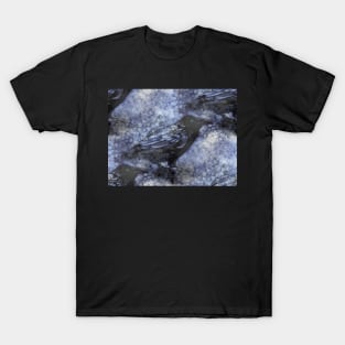 Blackbird Print T-Shirt